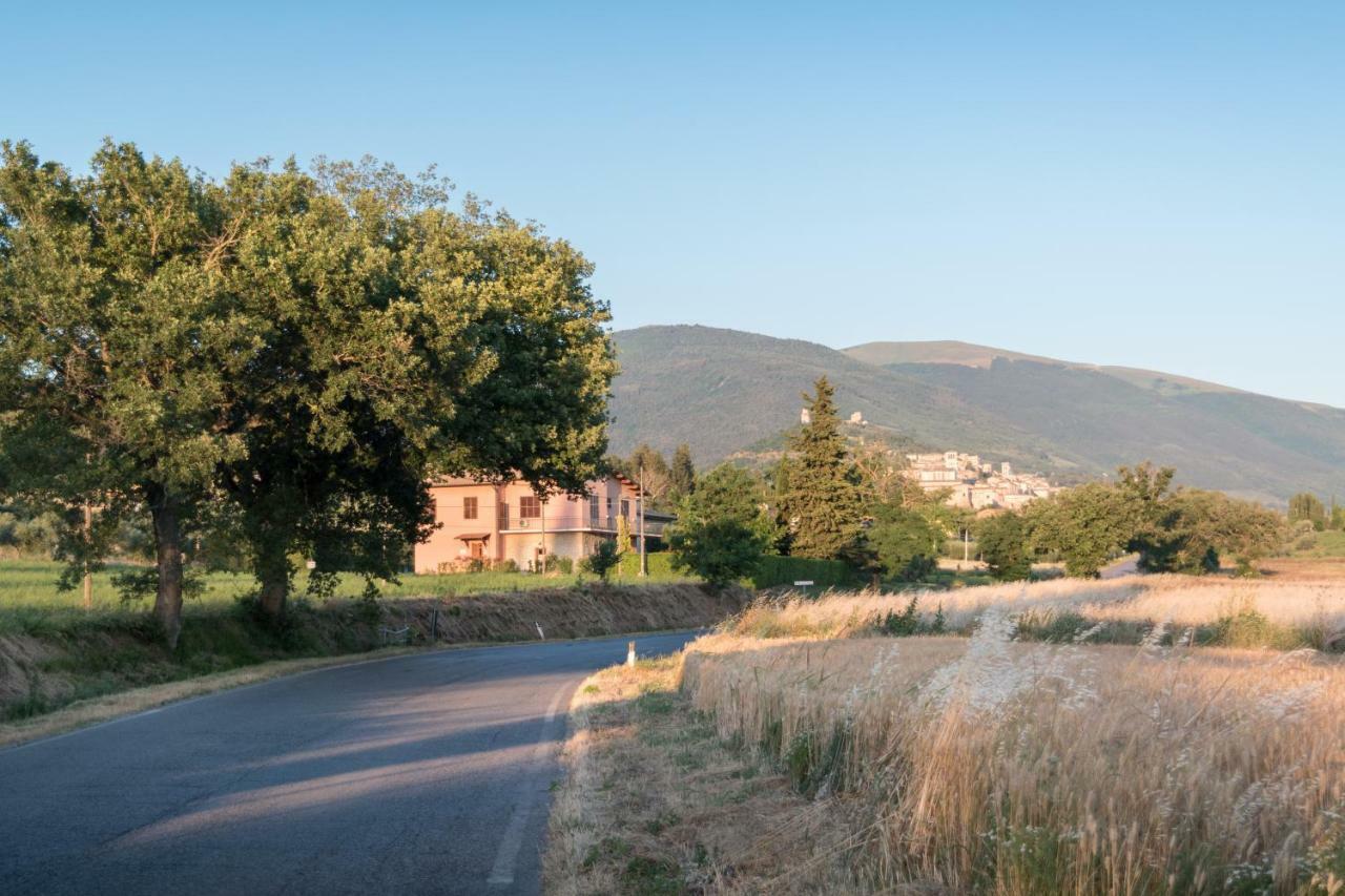 Bed & Breakfast Al Pian D'Assisi Exterior foto